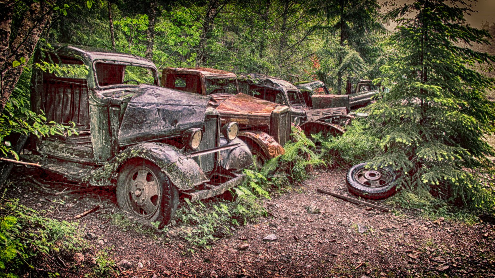 Old Men of Opal Creek